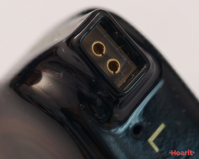 TRUTHEAR ZERO 2-pin 連接器 macro 特寫，金色針腳同 L 標記清晰可見